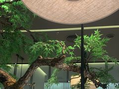 -绿茶餐厅(许昌万达广场店)