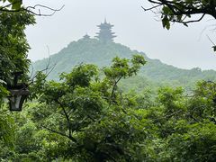 -杭州半山国家森林公园