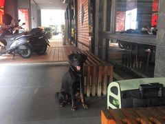-鼎王麻辣锅(七贤店)