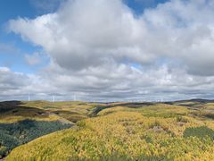 -塞罕坝国家级自然保护区