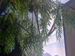 -澜·庭汇SPA会所(涉外店)