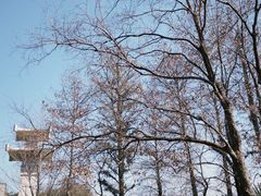 -东湖落雁景区