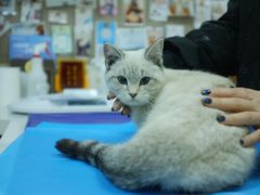 -美联众合动物医院·24h京西诊疗中心