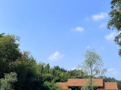 -杭州植物园