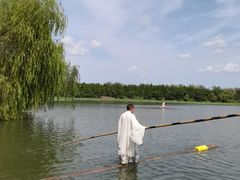 -溱湖国家湿地公园