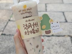 -猫的魔法密林(衣裳街店)