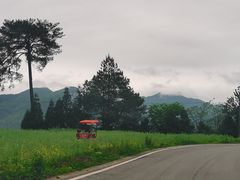 -山王坪喀斯特国家生态公园