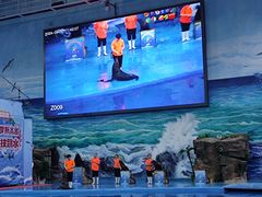 -多彩贵州城极地海洋世界