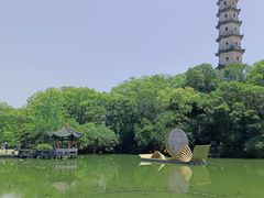 -江心屿景区