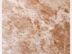 -薛阿婆(北美新天地中心店)