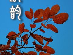 -北宫国家森林公园