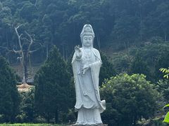 -灵光寺