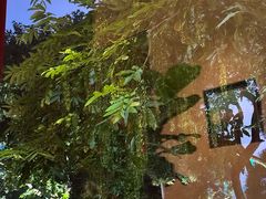 -橘洲1910花园江景西餐厅