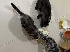 -沃尔玛(中山北路店)