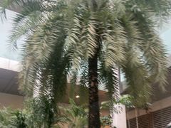 -深圳福田香格里拉大酒店
