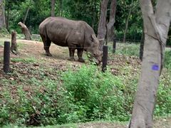 -清迈夜间动物园