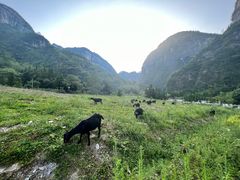 -鹿院坪生态旅游景区