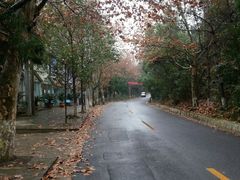 android_upload_pic-天河潭旅游度假区