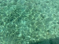 -东姑阿都拉曼海洋公园