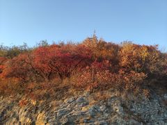 -北京西山国家森林公园