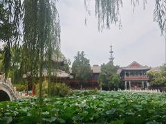 -莲池书院博物馆