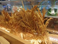 -谷田稻香·砂锅菜(西乡天虹店)