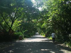 -三水森林公园