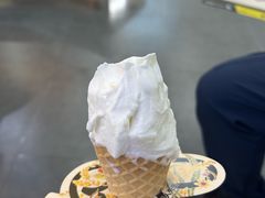 -野人先生Gelato(上海长宁龙之梦店)
