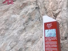 -秦岭终南山世界地质公园翠华山景区