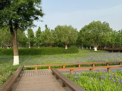 -汉长安城未央宫国家考古遗址公园