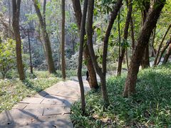 -杭州半山国家森林公园