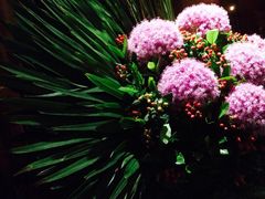 iphone_upload_pic-花马天堂云南餐厅 Lost Heaven(高邮路店)