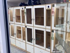 -爱洗澡的猫(天河路店)