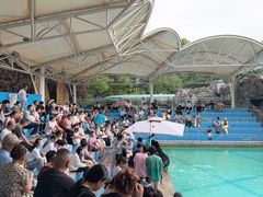 -合肥野生动物园