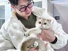 -青奢宠物·青奢猫舍