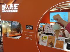 -野人先生现做冰淇淋(北京王府井东方新天地店)