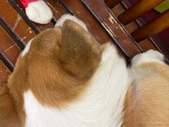 -鹿福农庄(南沙天后宫店)