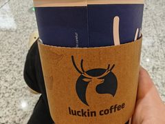 -瑞幸咖啡(岗厦北地铁站东区店)
