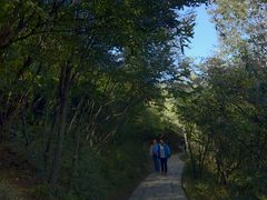 茱萸峰-云台山风景名胜区