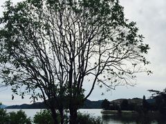 -余姚四明湖开元名都度假酒店·夏威夷西餐厅