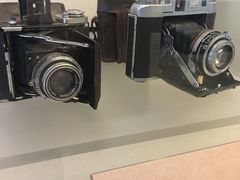 -北京动物园-畅观楼