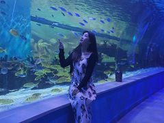 -常州海昌海洋探索馆