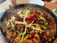 -老板恋上鱼(恒隆广场店)