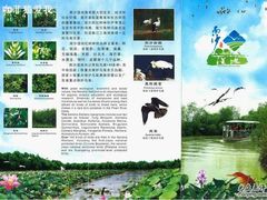 -大湾区中央湿地公园