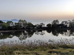 -上海市保健医疗中心