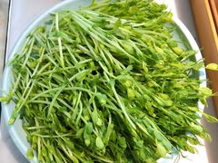 活体豆苗-左庭右院鲜牛肉火锅(浦江欢乐颂店)