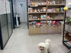 -四月宠物医院·猫专科·心脏专科·内科(转塘店)