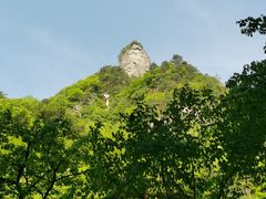 -青峰峡国家森林公园