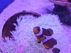 -上海海昌海洋公园