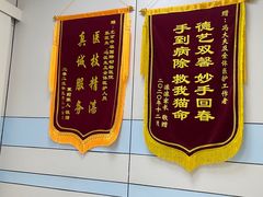 -中农国际动物医院24小时·猫科·骨科·急重症中心